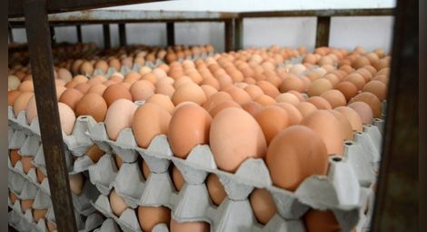 Подаден е сигнал за риск от опасни яйца