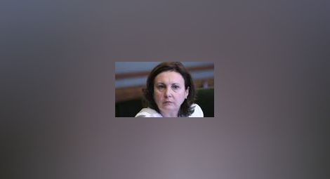 Румяна Бъчварова: Няма никакви закъснели мерки на МВР по охрана на границата