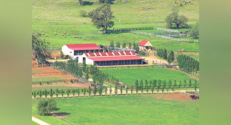 Завишават субсидиите за  ферми с до 300 декара земя