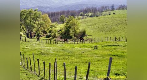 България ще загуби около 235 млн. евро за агроекология