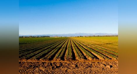 България и Румъния ще си сътрудничат в ресор земеделие