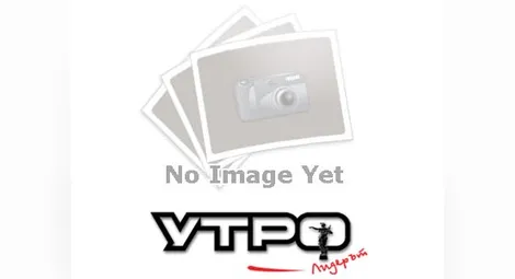 Дървен навес падна жертва на политическата война във Ветово