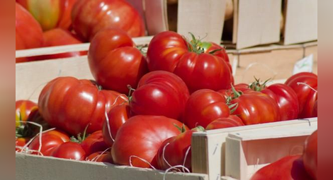 Продават ни по 3 лв. домати от Гърция за 0,05 евро