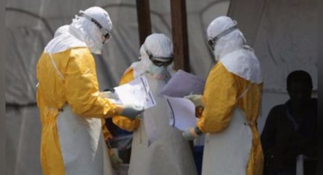 Птичи грип открит в Констанца на километри от България