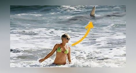 Германска актриса с ужас видя тигрова акула до себе си на плаж във Флорида
