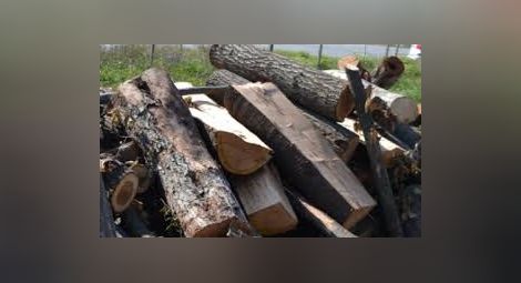 Пълен с крадени дърва фолксваген с номера на лада спрян в Моргуля