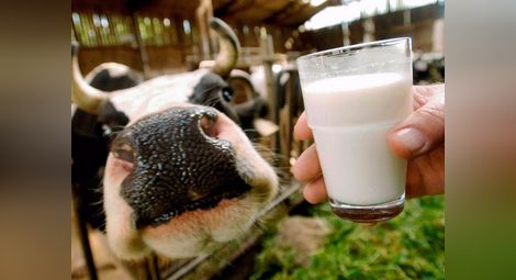 Добиваме с 10 милиона литра по-малко краве мляко