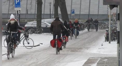 В Холандия детето се качва на колело, веднага щом може да стои на краката си