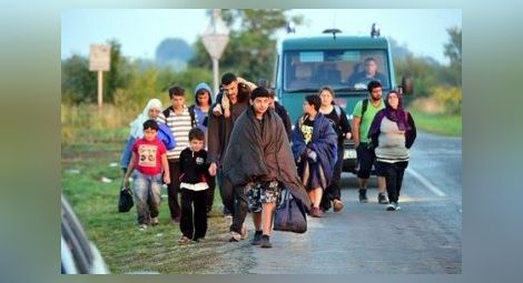 Български трафиканти са вкарали 42-ма мигранти в Хърватия