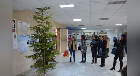 „Чучулига“ дари жива елха и украса на болницата