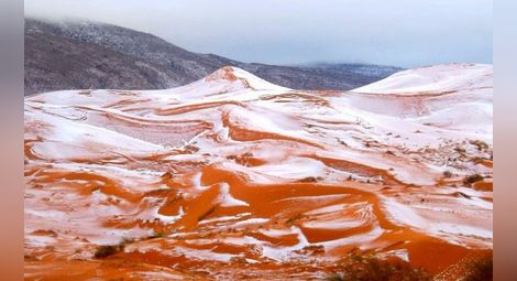За първи път от 37 г.: Сахара побеля от сняг