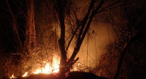 Пасища горят край пътя за Рилския манастир