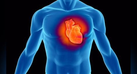 Учени откриха как да предпазят сърцето от стрес