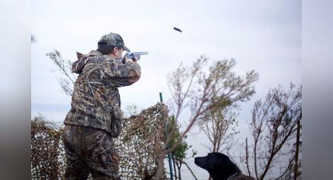 Забраниха лова на пернат дивеч заради опасност от птичи грип