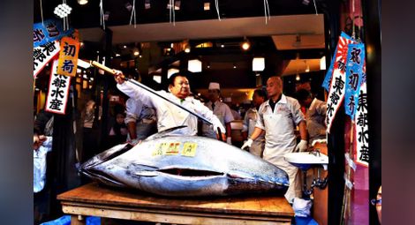 Японски рибен крал плати 630 000 долара за една-единствена риба