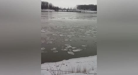 Ледени късове покриха Дунав 