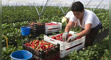 Фермери и хотелиери ще могат да  наемат работници извън Евросъюза