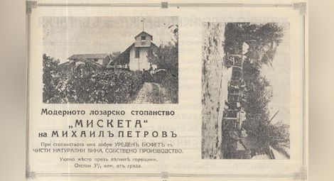 Реклама на русенското Модерно лозарско стопанство „Мискет“ на Михаил Петров, публикувана в Илюстрован русенски алманах 1928 г.