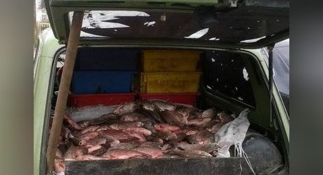 2660 кг риба иззета при нарушения само за 3 дни