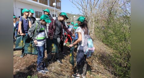 Деца от Русе, Иваново и Ветово станаха лесовъди за един ден