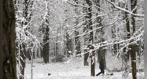 Силен снеговалеж остави 30 000 души без ток в Литва