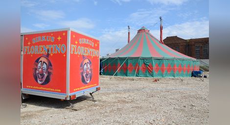 Лазерно шоу и еквилибър в новата програма на цирк „Флорентино“
