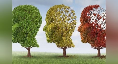 Алцхаймер и деменция ще останат само в учебниците, учени намериха лек?