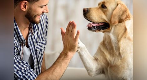 Три миризми, които хората могат да подушат по-добре от кучетата