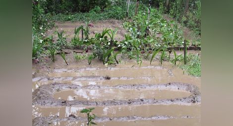 Половинметрова вълна потопи в кал и разрушения Касева чешма