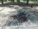 „Голф“ полят с бензин и запален в Парка на младежта
