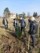 Дарени от „Булмаркет“ 70 дръвчета смърч и чинар бяха засадени в Мартен