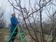 Сезонните работници в селското стопанство са най-търсени в област Търговище през март