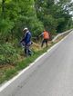 Чистят растителността по републиканската пътна мрежа в Русенско