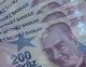 Турската лира за първи път се обезцени до 50 турски лири за евро