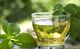 Учени: Зеленият чай наистина помага за отслабване, ако се комбинира с упражнения