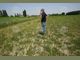 Оризовите полета изсъхват, докато сушата в Италия продължава
