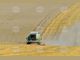 Над 50 фирми ще участват в първите Дни на полето на Добруджанския съюз на зърнопроизводителите