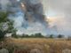 Заместник-министърът на земеделието Валентин Чамбов  ще посети землището на пожара между селата Левски и Елшица