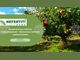 Информационно-обучителен семинар с демонстрация на добри практики при отглеждането на ябълки ще се проведе днес в Кюстендил