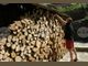 Незаконно добити дърва са открити на пет места в Монтанско вчера