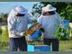 Словенското пчеларство беше вписано в списъка на ЮНЕСКО на културното наследство