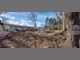 Столични общински съветници коментираха казуса със сеч на дървета в Борисовата градина