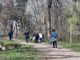 При екоакцията в Скобелев парк в Плевен са събрани 53 чувала с отпадъци