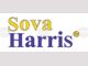 Шест партии биха влезли в Народното събрание, според проучване на „Сова Харис“