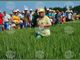Зърнопроизводители ще споделят опит и практически съвети за отглеждане на културите на открит Ден на пшеницата в Кубрат
