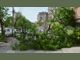 Силен вятър събори дърво върху къща в Хасково