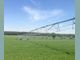 Едър зърнопроизводител ще напоява още над 1500 дка ниви с изкуствен дъжд