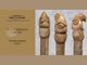 Националният археологически музей организира екскурзоводска беседа