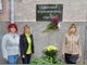 Представители на КНСБ и областната администрация в Разград поднесоха цветя пред паметната плоча на загиналите при трудови злополуки