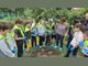 Засадиха фиданки за Деня на Европа в Хасково